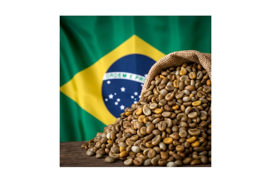 Brazil Green Beans - TCV Wholesale