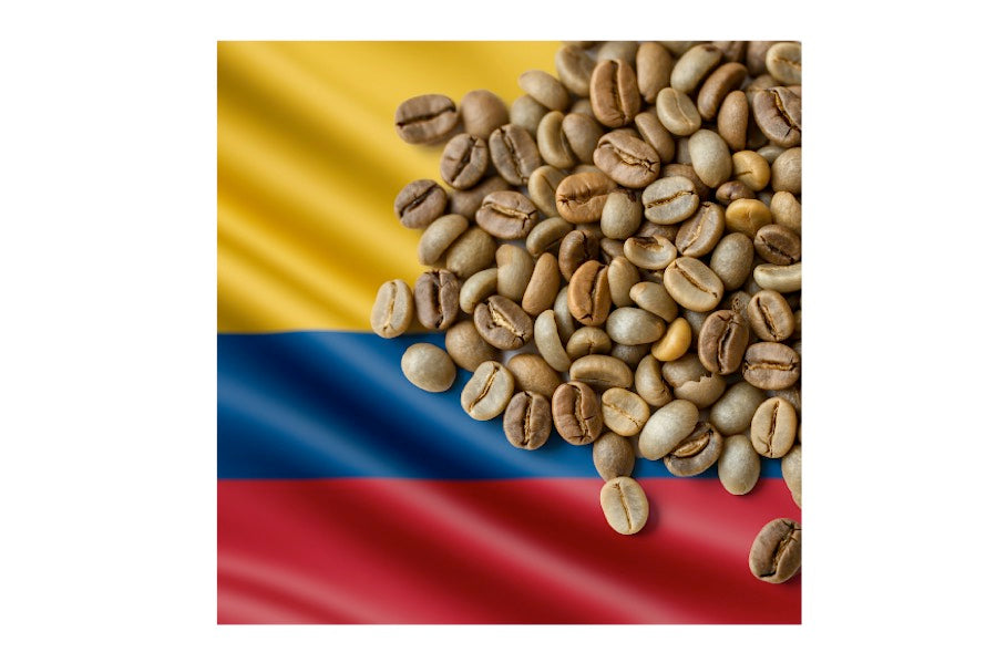 Colombia Green Beans - TCV Wholesale