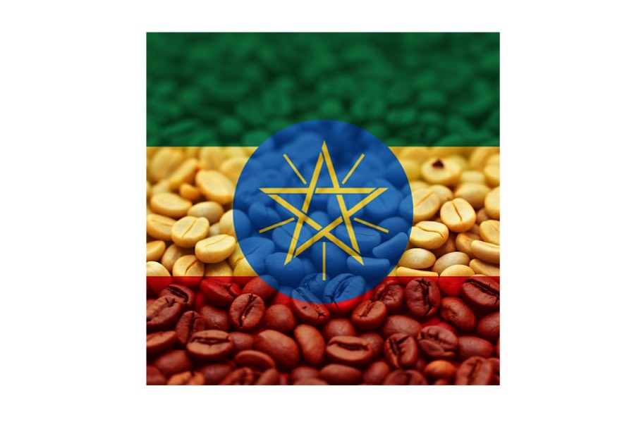 Ethiopian Green Beans - TCV Wholesale