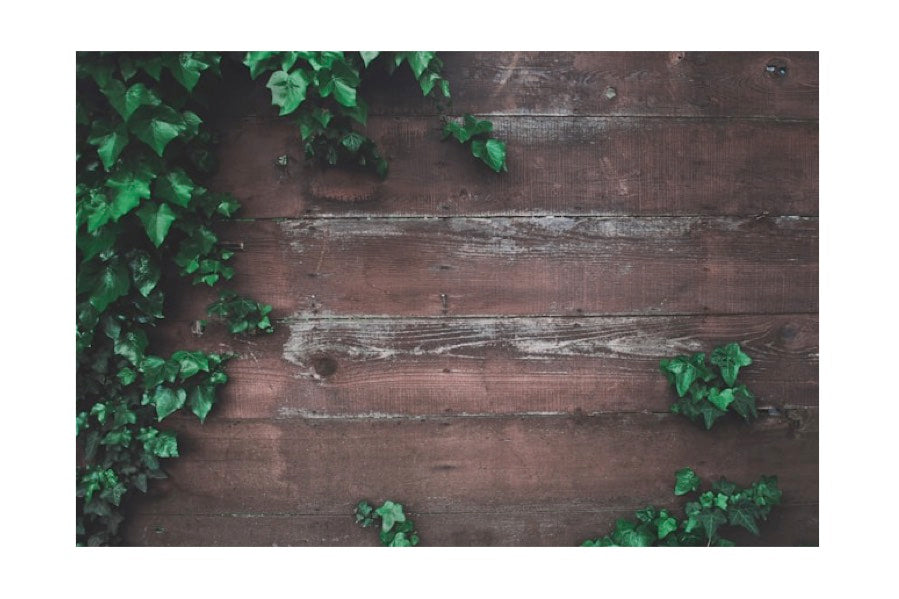 Harmony Espresso Blend (Homer's) - TCV Wholesale