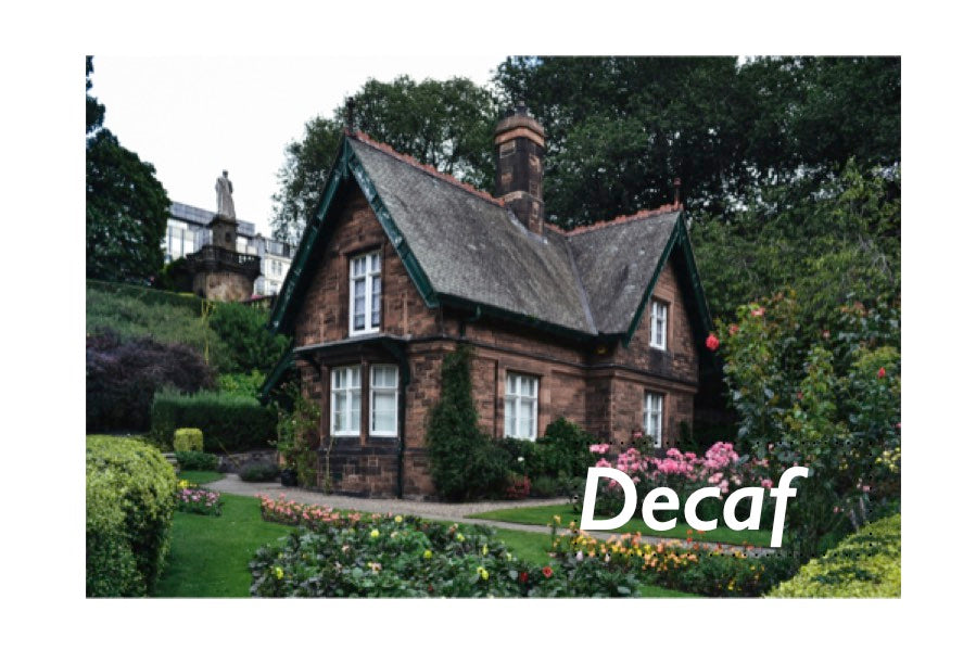 TCV House Blend Dark Roast DECAF(Kiva Han) - TCV Wholesale