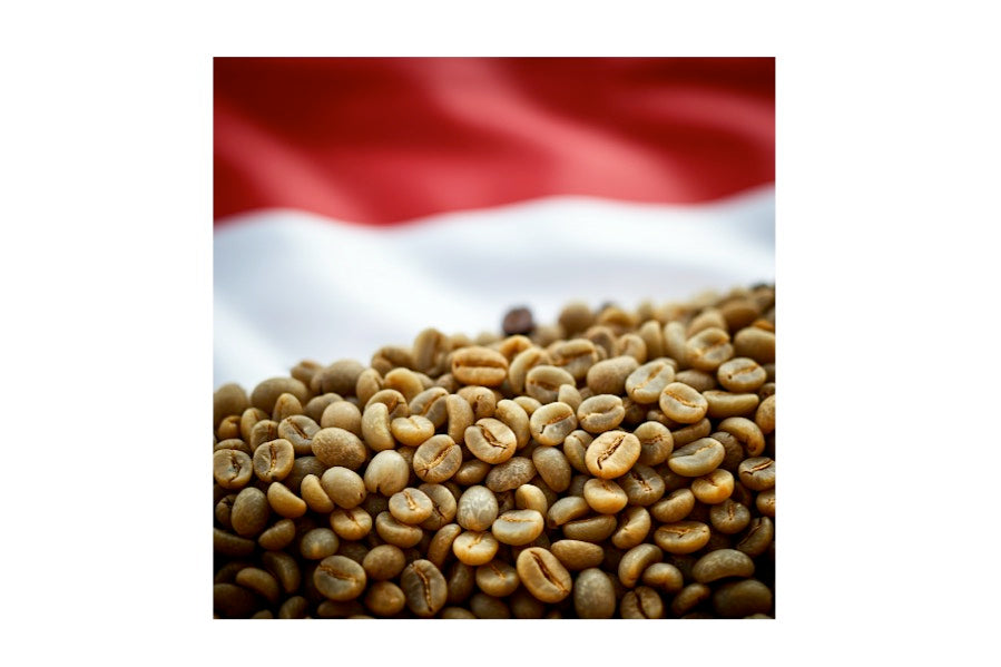 Sumatra Green Beans - TCV Wholesale