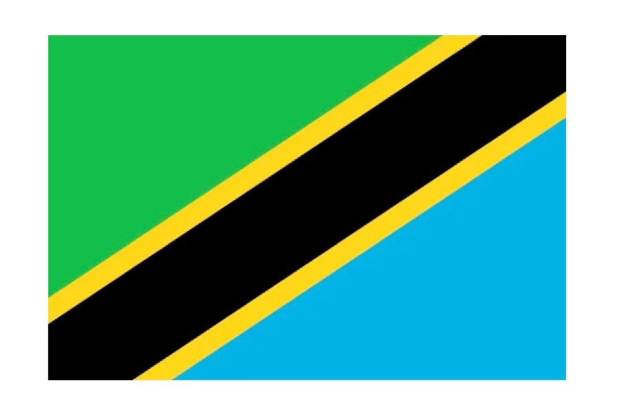 Tanzanian Peaberry - TCV Wholesale