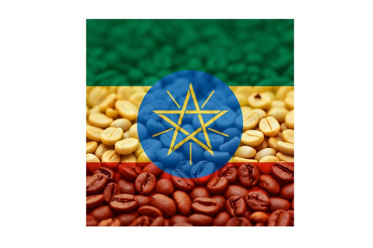Ethiopian Green Beans - TCV Wholesale